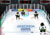 Eishockey 1