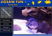 Die Fische