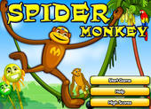 Spider Monkey